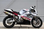 stigs sp2.jpg